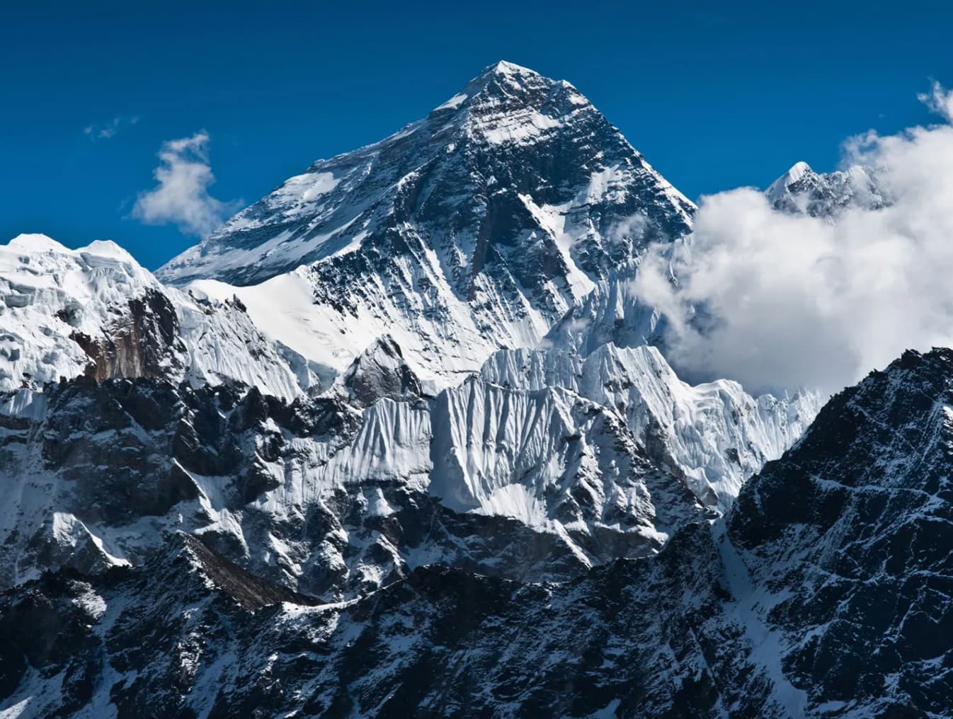 young fold mountains himalayas